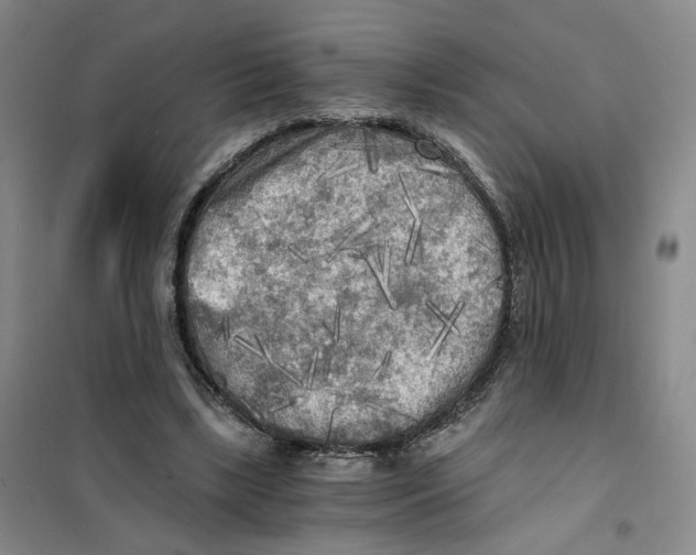 X0000101120443200807241203