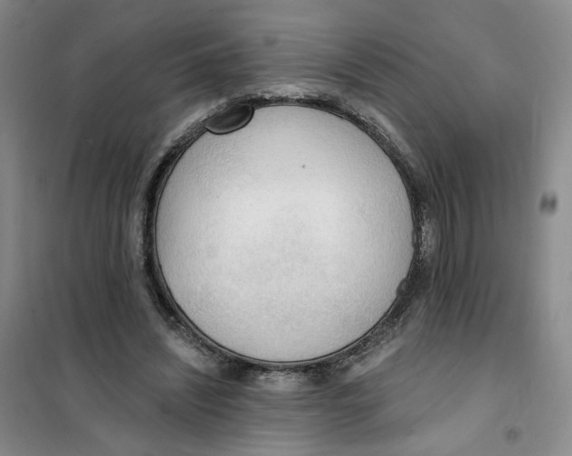 X0000101120444200807241203
