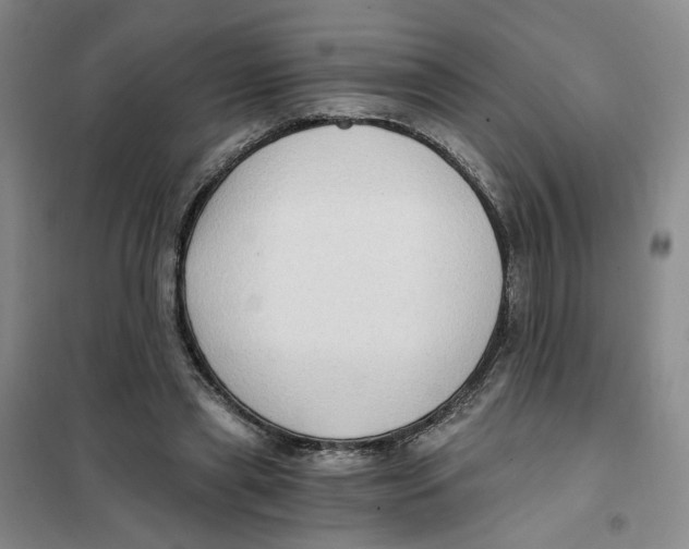 X0000101120445200807241203