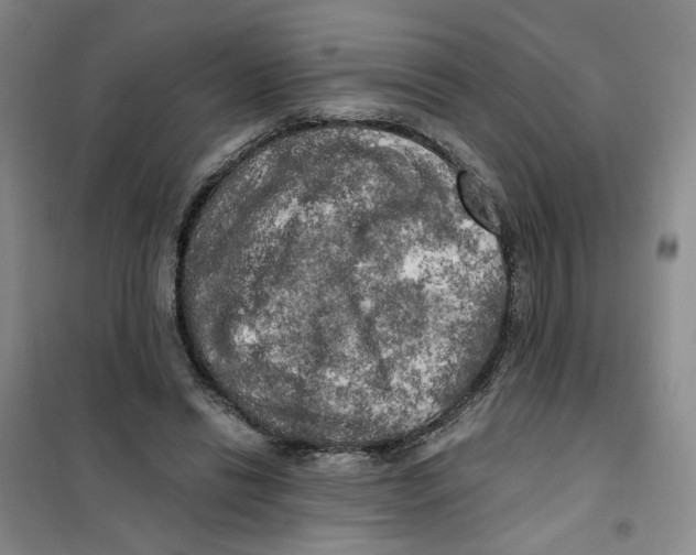 X0000101120446200807241203