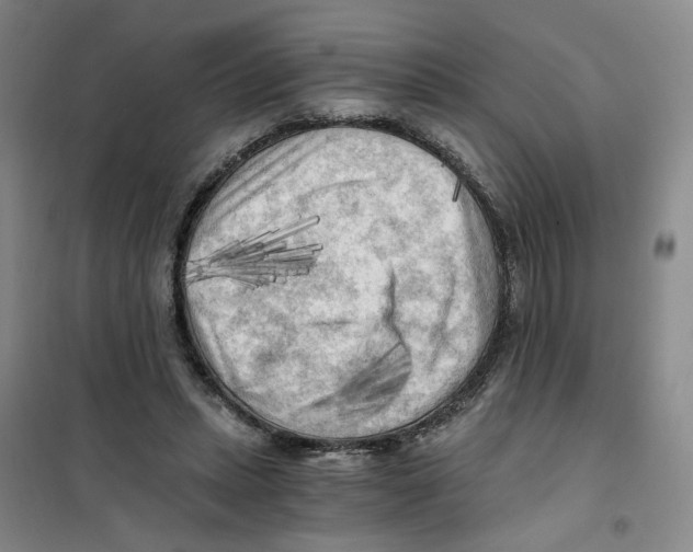 X0000101120447200807241203