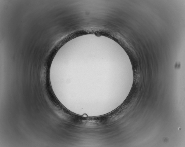 X0000101120448200807241203
