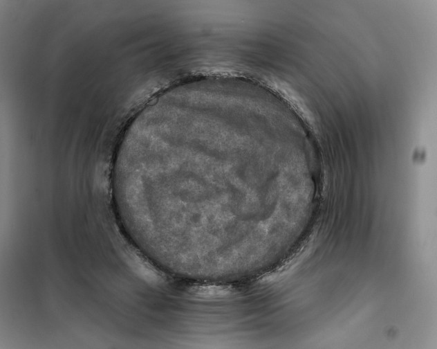 X0000101120449200807241203