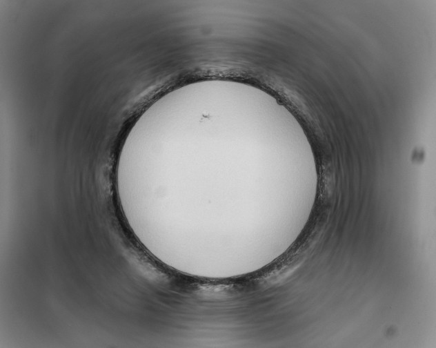 X0000101120450200807241203