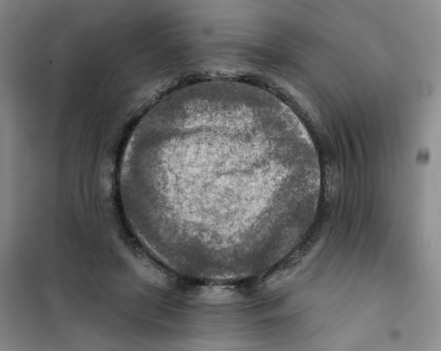 X0000101120451200807241203