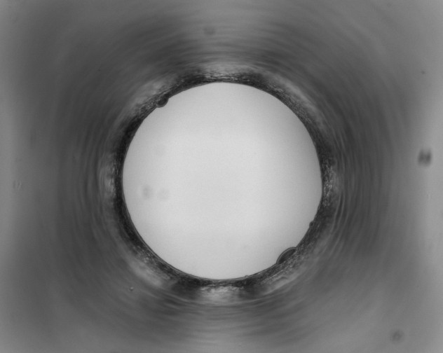X0000101120452200807241203