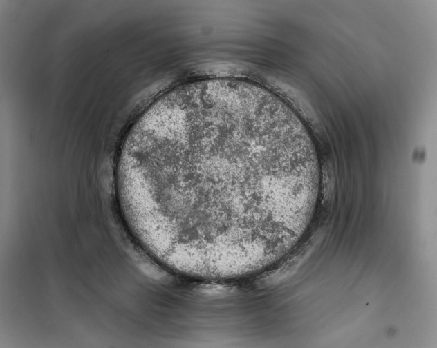 X0000101120453200807241203