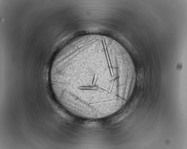 X0000101120454200807241203