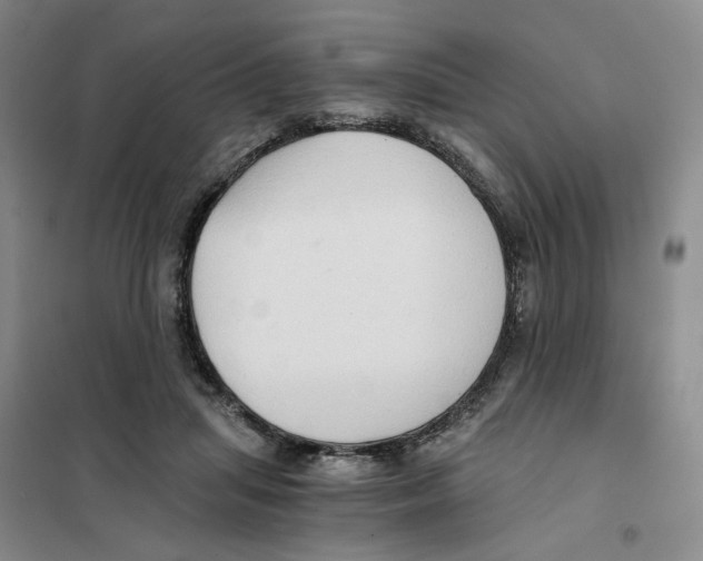 X0000101120455200807241203