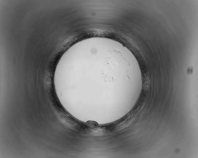 X0000101120456200807241203