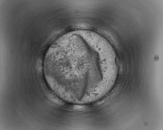 X0000101120457200807241203