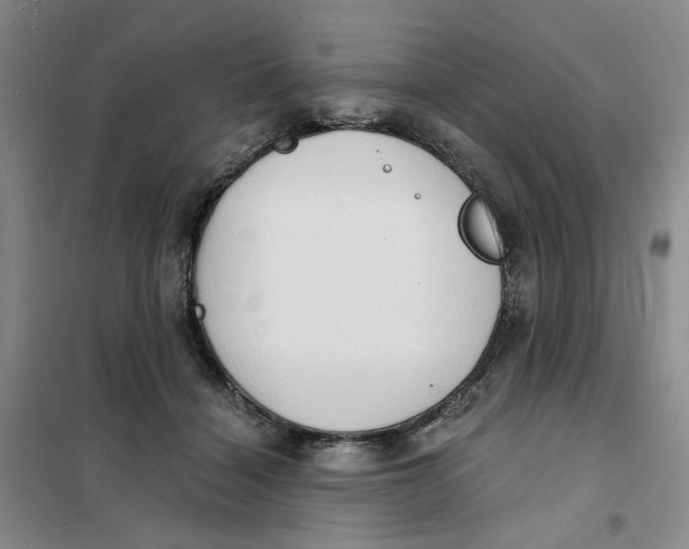 X0000101120460200807241203