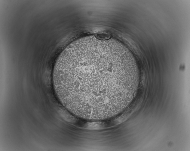 X0000101120461200807241203