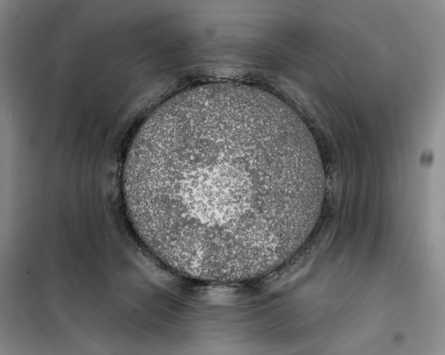 X0000101120462200807241203