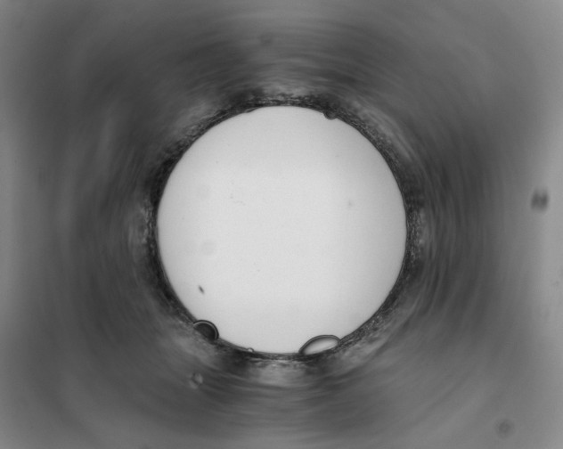 X0000101120463200807241203