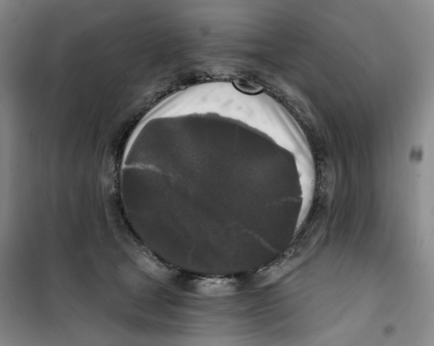 X0000101120465200807241203