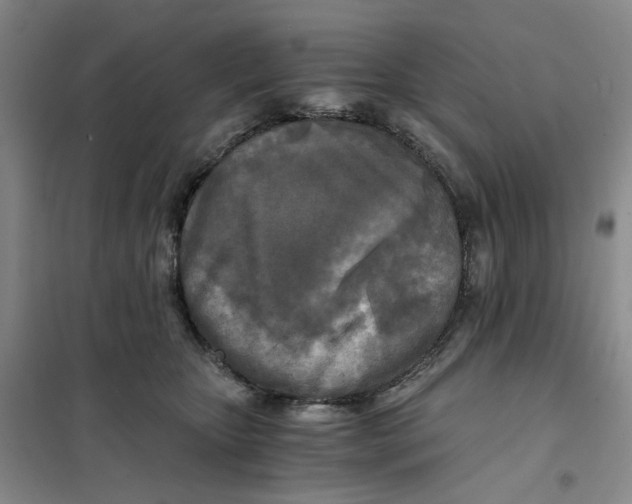 X0000101120467200807241203
