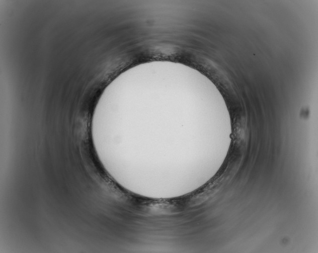 X0000101120468200807241203