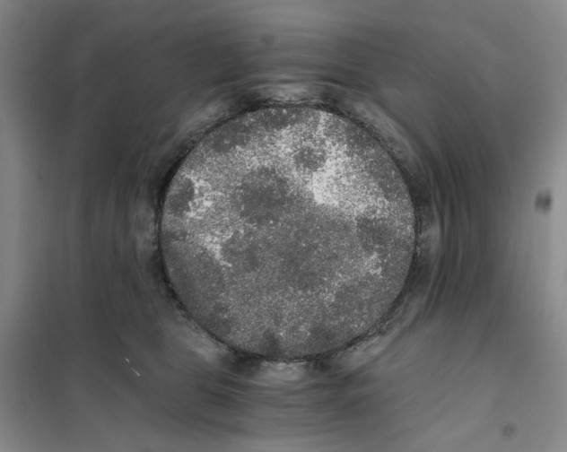 X0000101120469200807241203