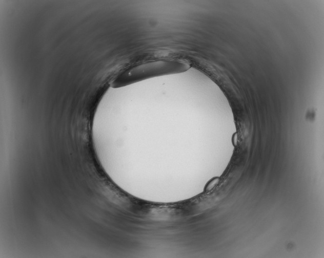 X0000101120470200807241203