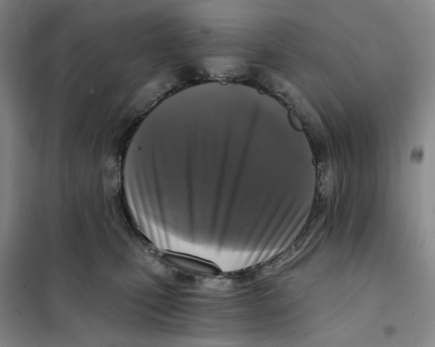 X0000101120471200807241203