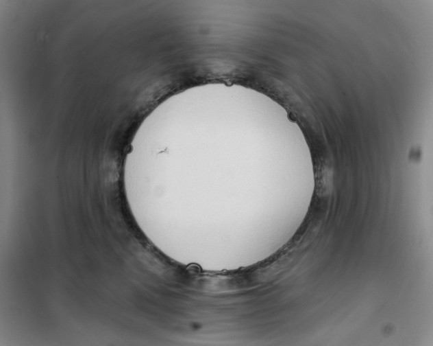 X0000101120472200807241204