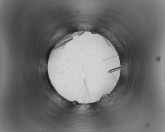 X0000101120474200807241204