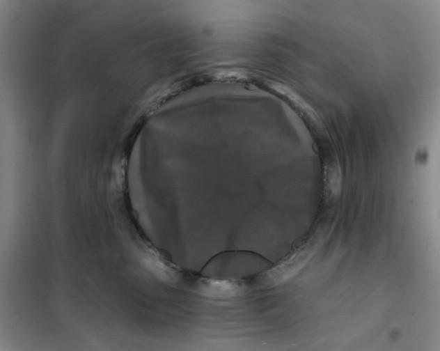 X0000101120475200807241204