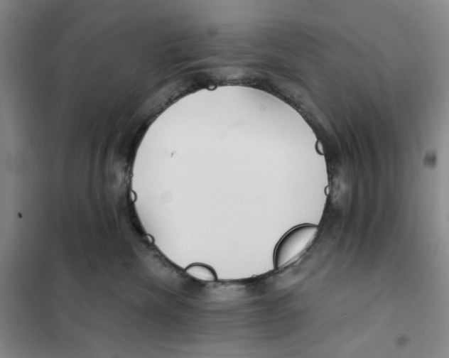 X0000101120476200807241204