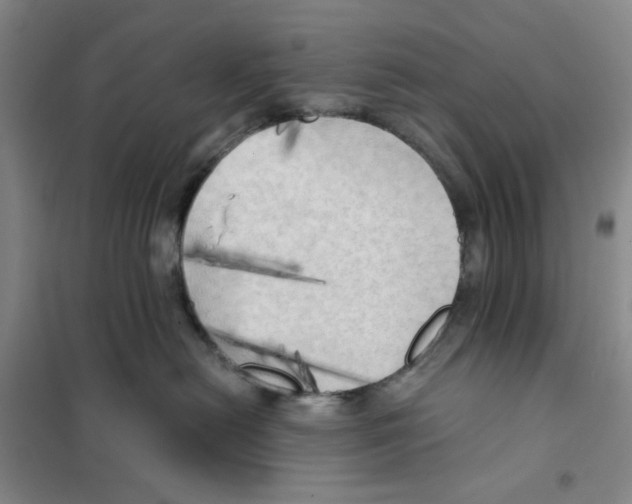 X0000101120478200807241204