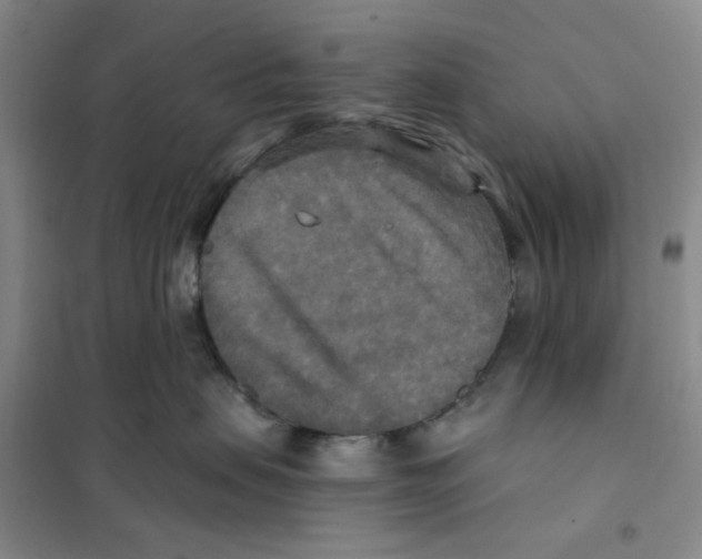 X0000101120479200807241204