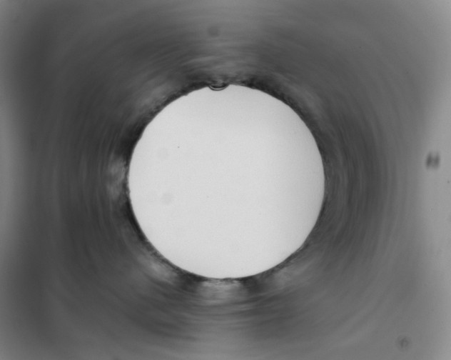 X0000101120480200807241204