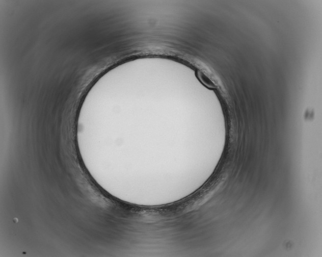 X0000101120481200807241203