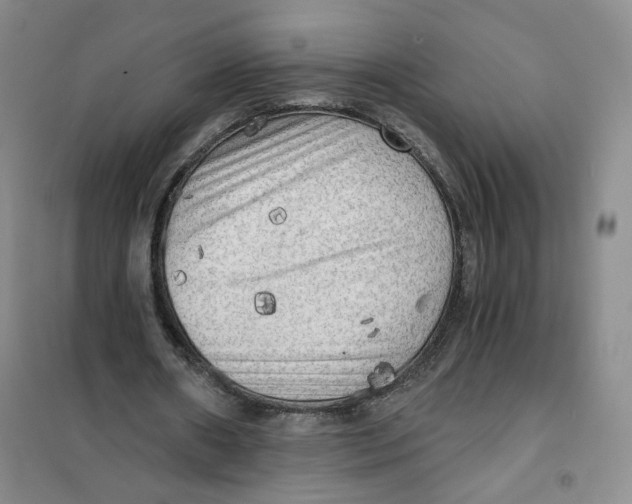 X0000101120482200807241203