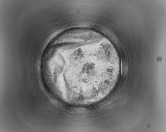 X0000101120483200807241203