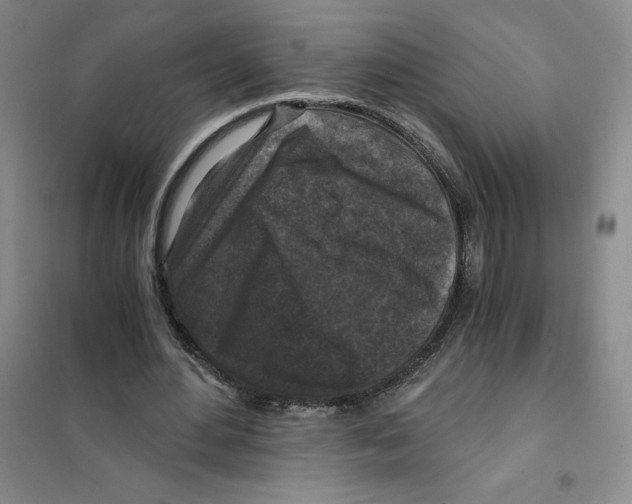 X0000101120484200807241203
