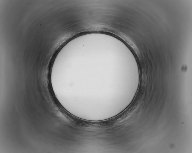 X0000101120485200807241203