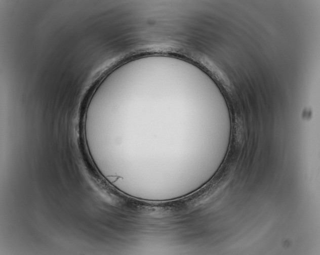 X0000101120486200807241203