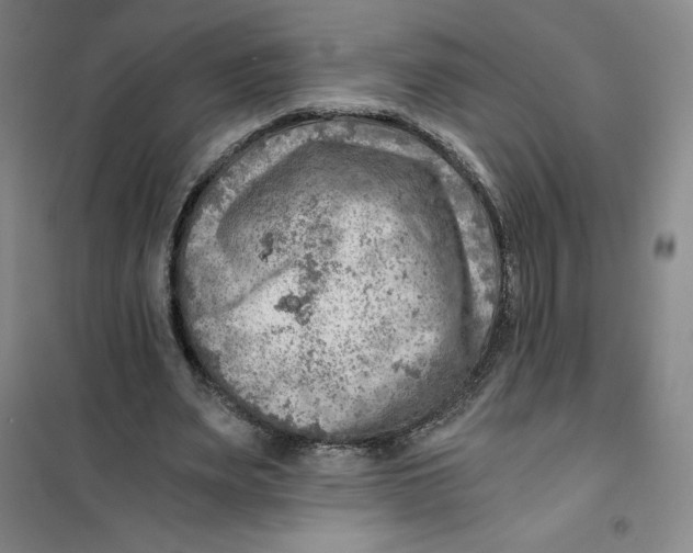 X0000101120487200807241203