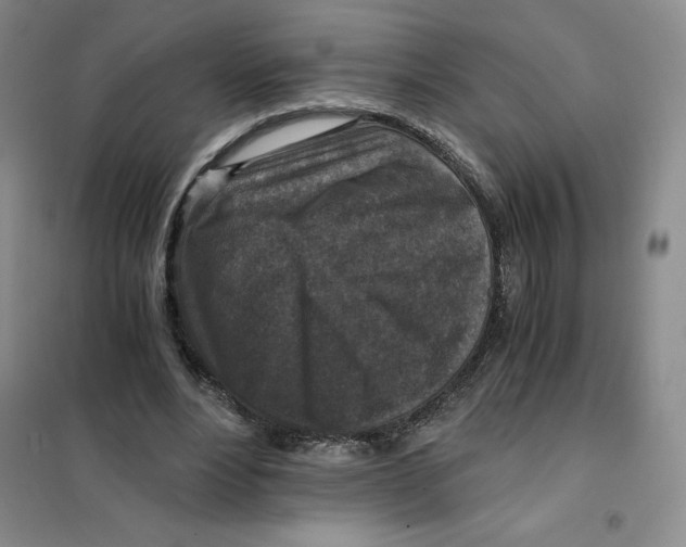 X0000101120488200807241203