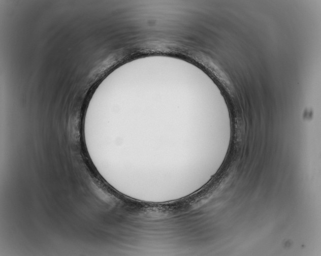 X0000101120489200807241203