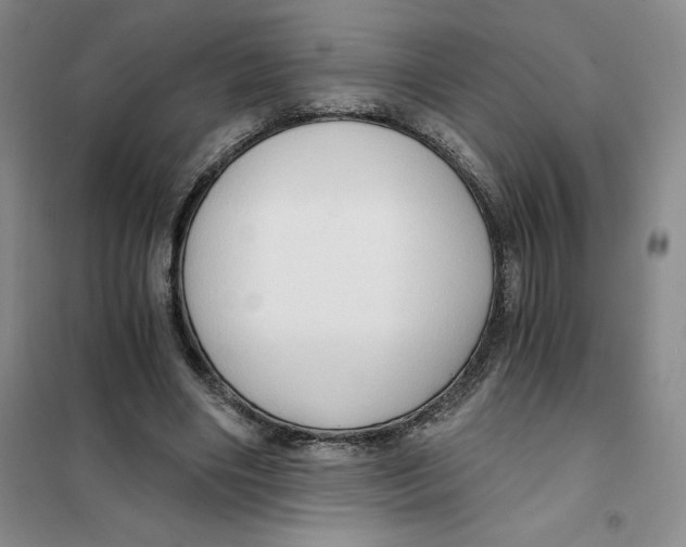 X0000101120490200807241203