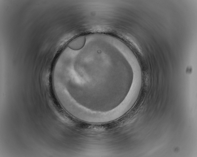 X0000101120491200807241203