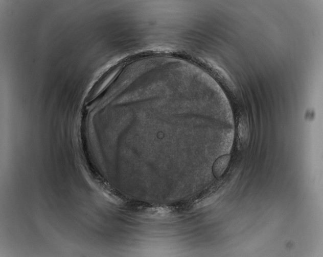 X0000101120492200807241203