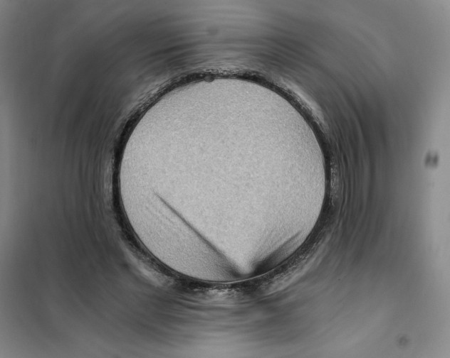 X0000101120493200807241203