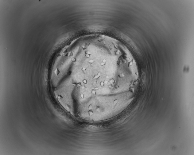 X0000101120494200807241203