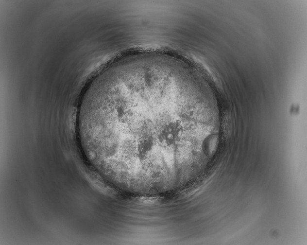 X0000101120495200807241203