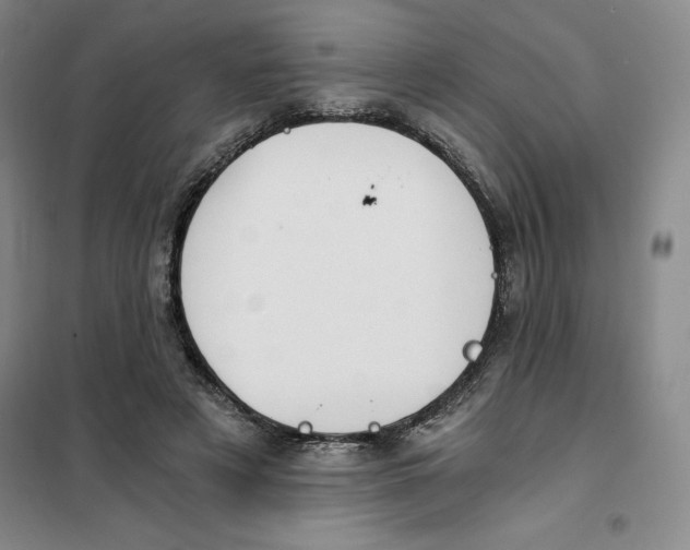 X0000101120497200807241203