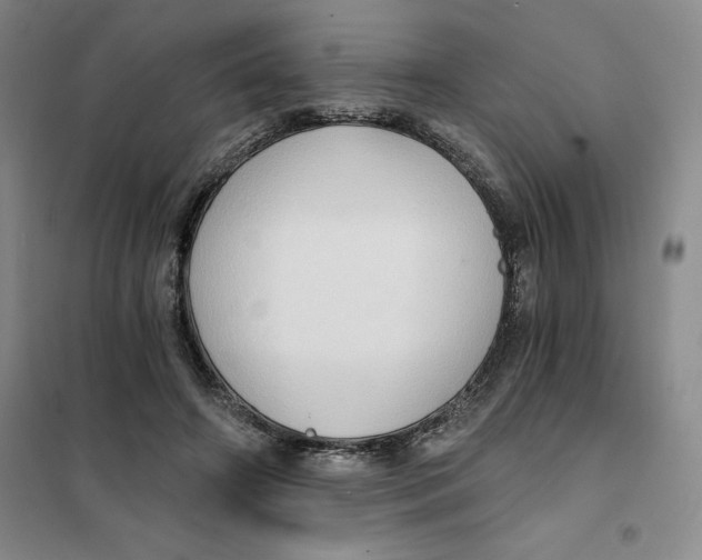X0000101120498200807241203