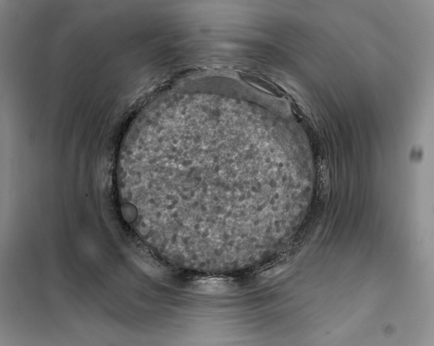 X0000101120499200807241203